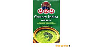 MDH CHUTNEY PODINA MASALA 100G